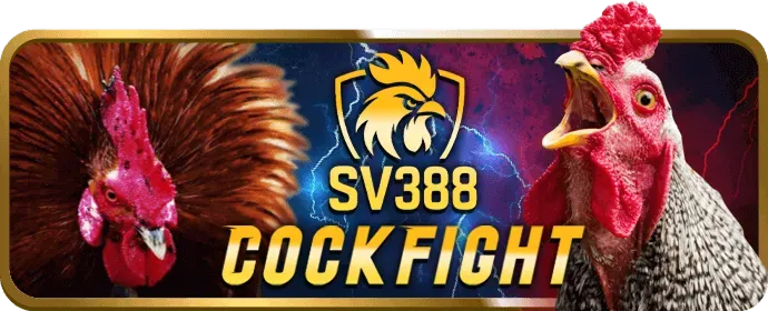 Cá cược thể thao Big88 trên ứng dụng